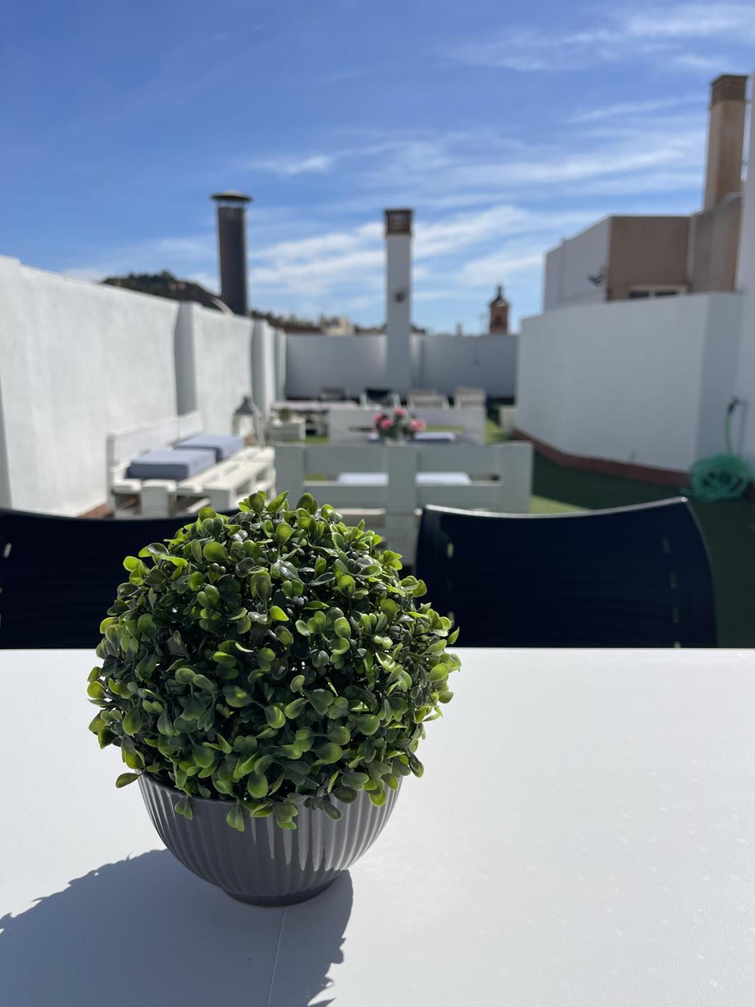 San Rafael Terrace City Centre مالقة المظهر الخارجي الصورة